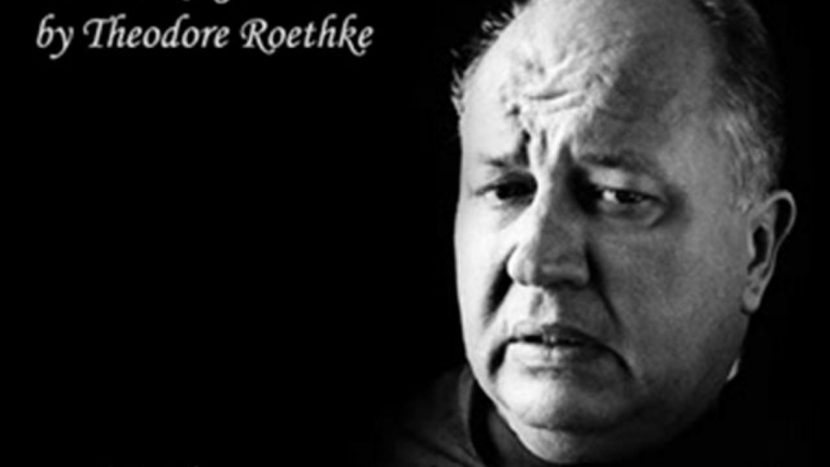 Theodore Roethke