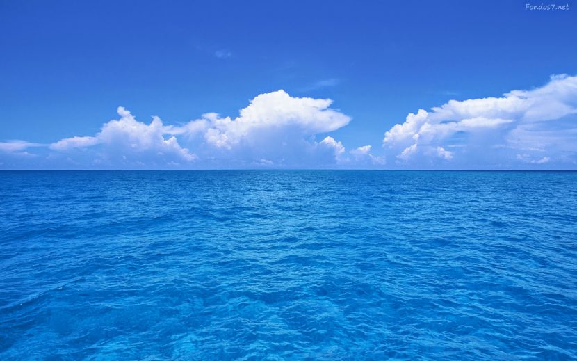 Co-creación y océanos azules