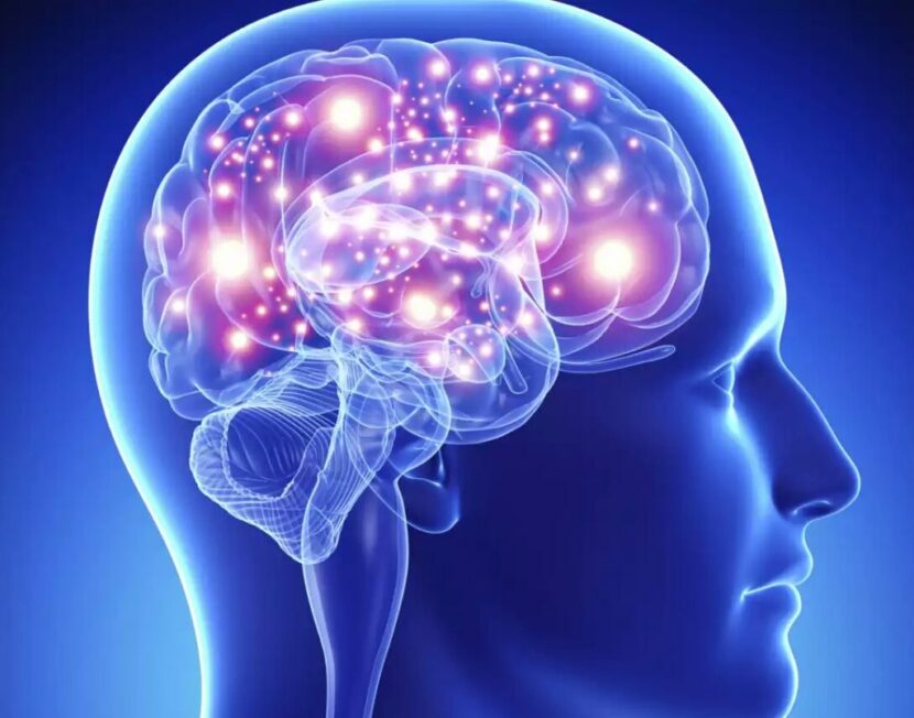 Neuromarketing: El cerebro se vuelve «ciego» a la información contraria a nuestras creencias
