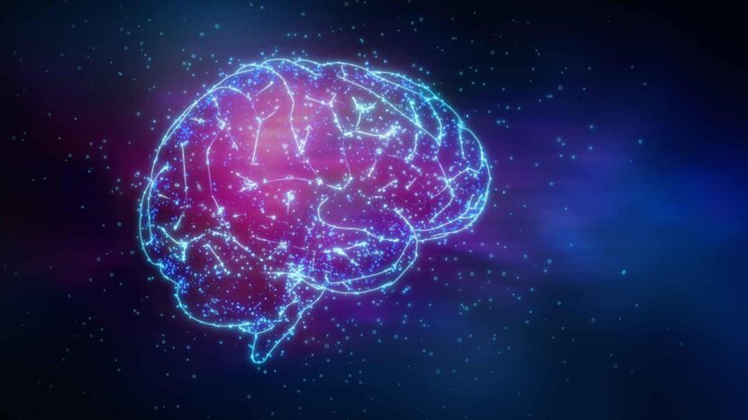 Neuromarketing: La magia oculta del cerebro