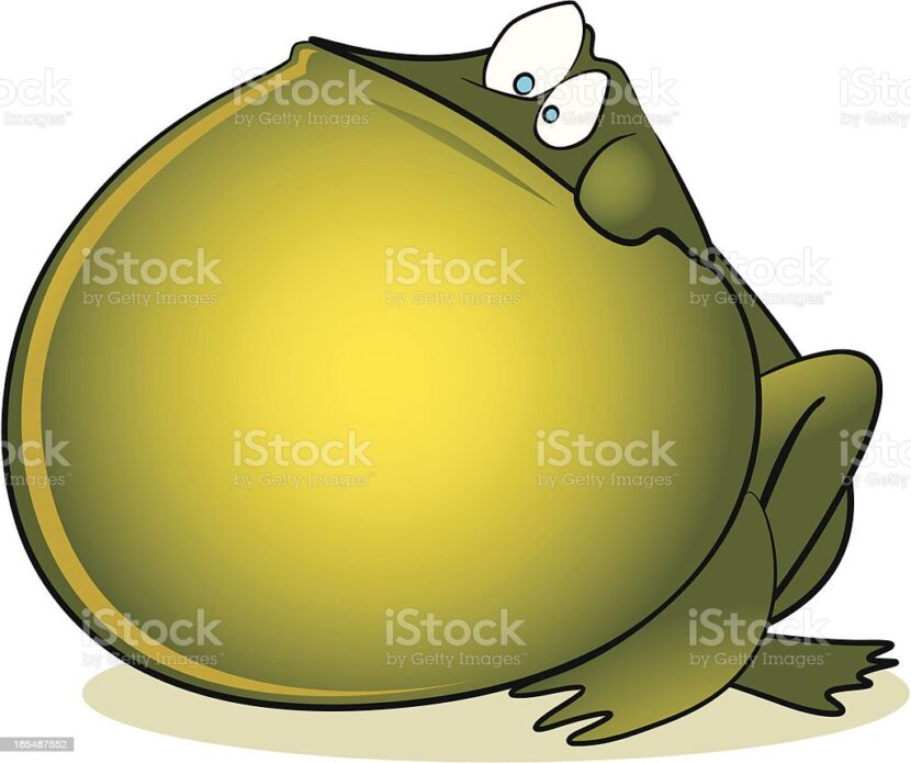 Cómo inflar una rana